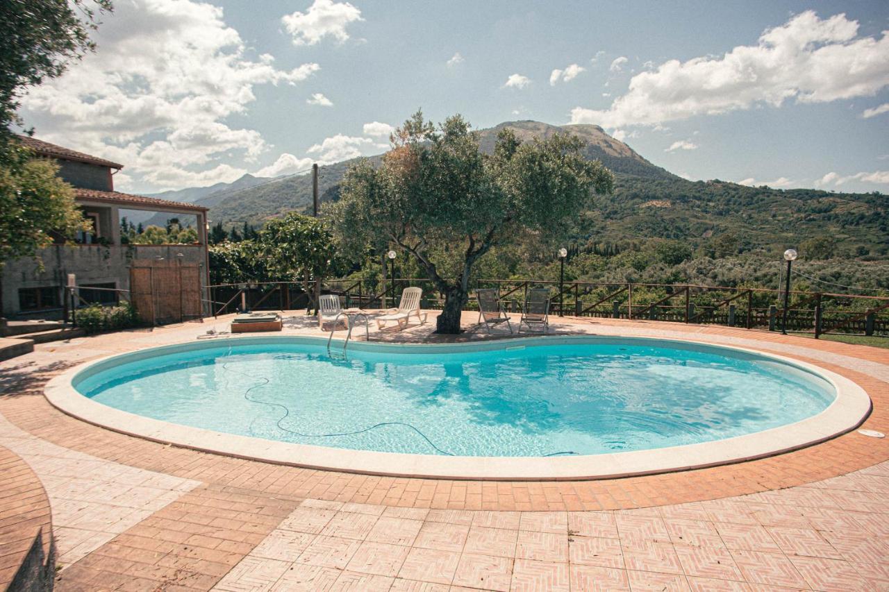 I Cedri Agriturismo Biologico Orsomarso Экстерьер фото